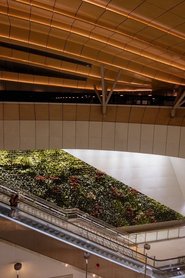 jana meerman singapore-26