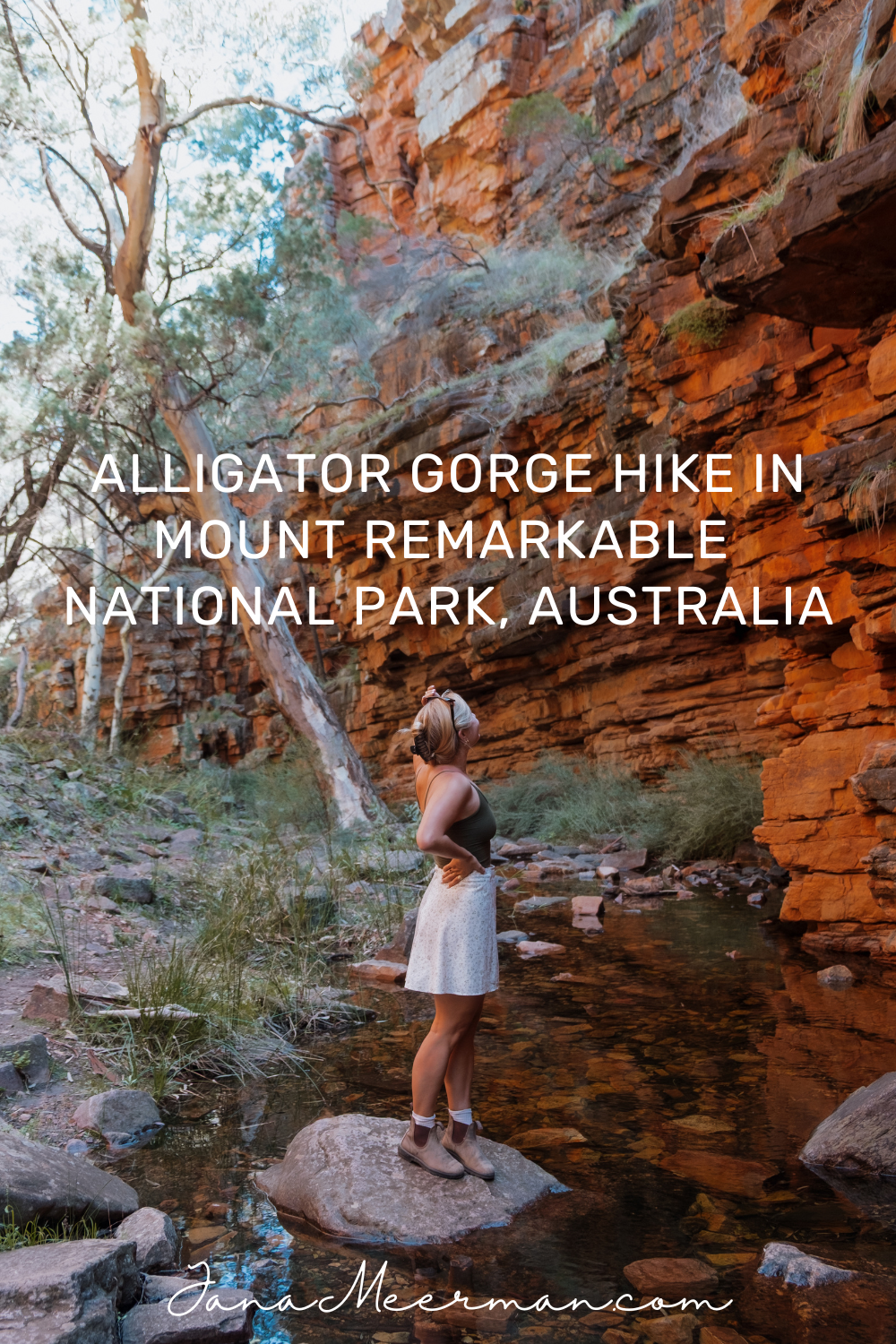 alligator gorge (2)
