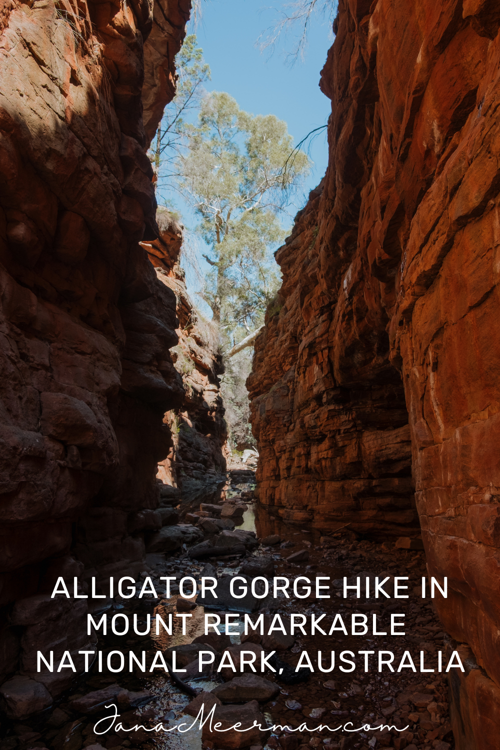 alligator gorge (2)