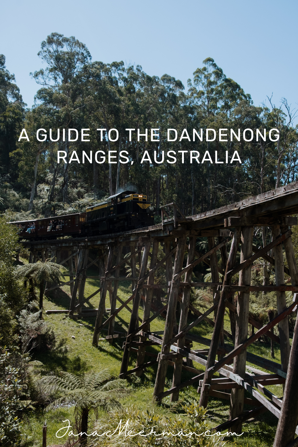 dandenong ranges (2)