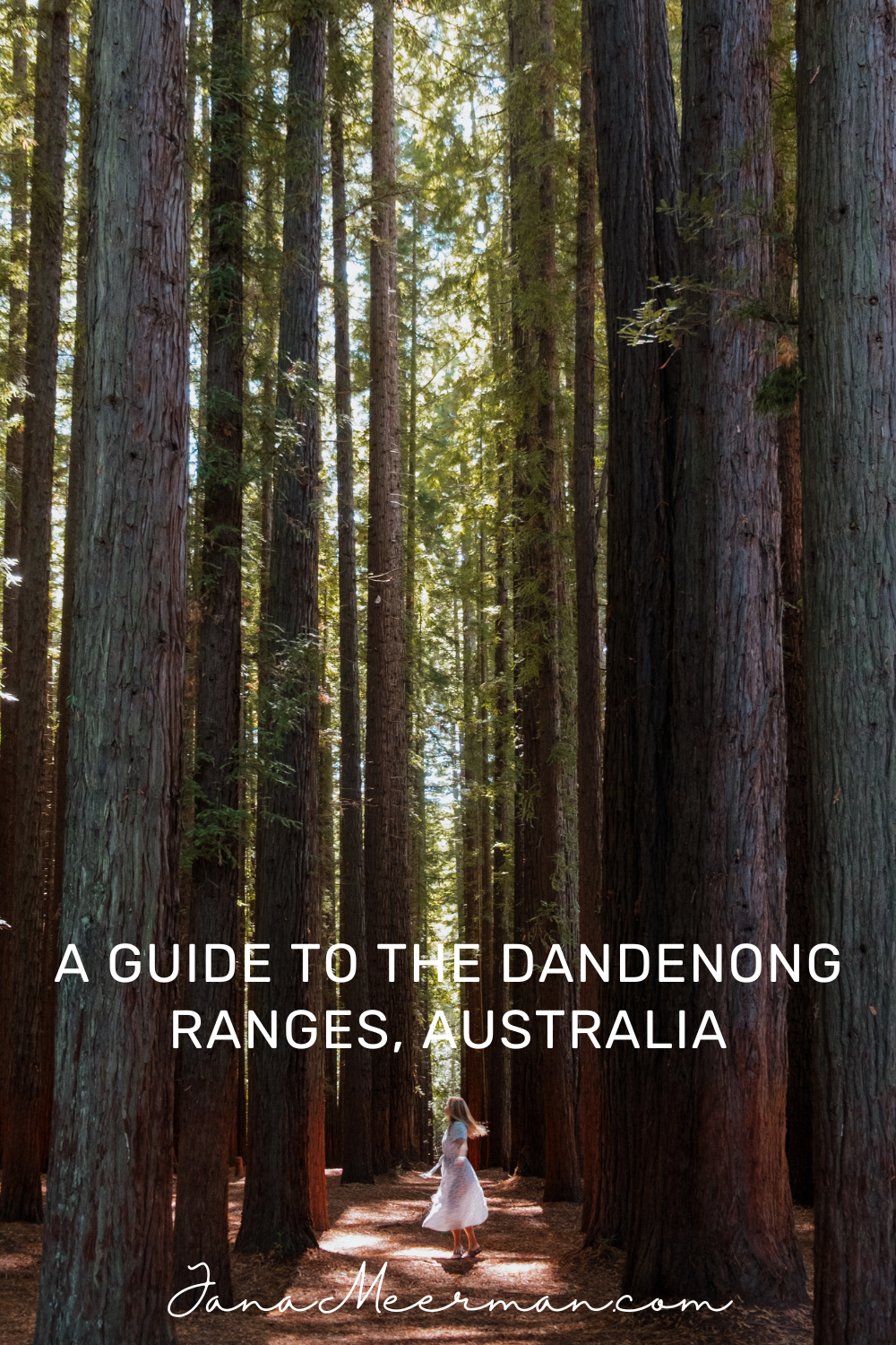 dandenong ranges (2)