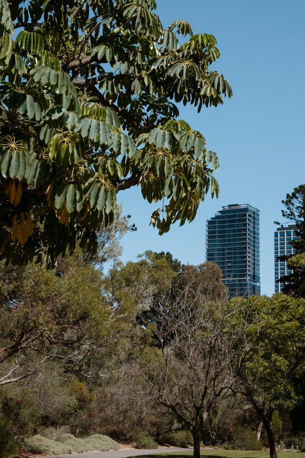 jana meerman adelaide australia-04