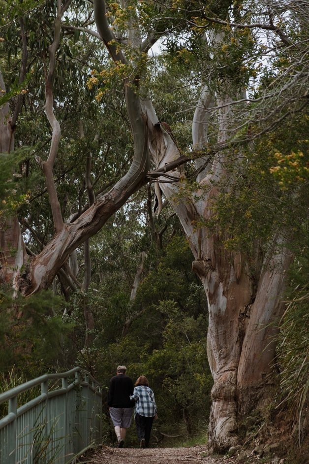 jana meerman agnes falls australia-4