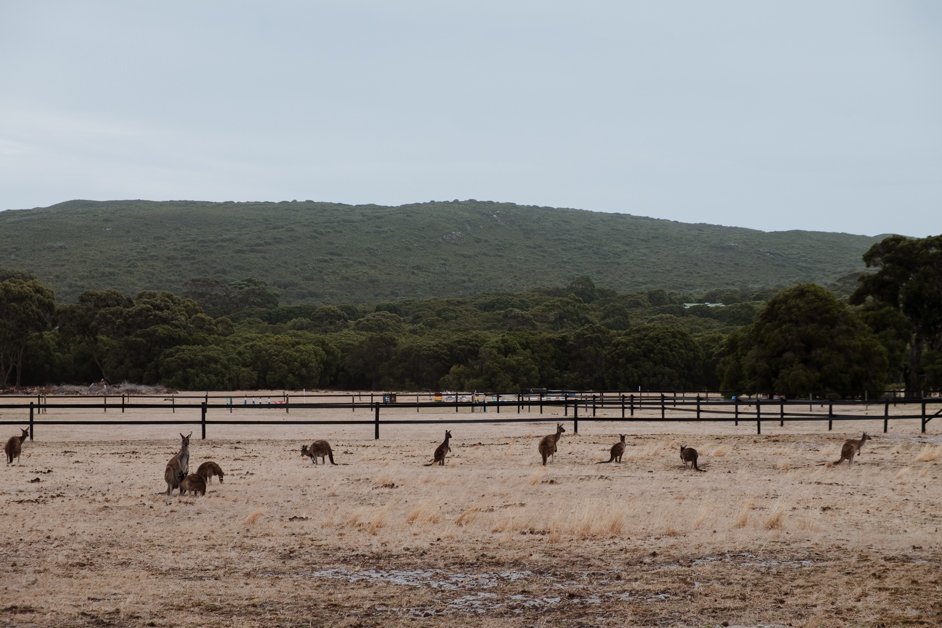 jana meerman albany australia-19