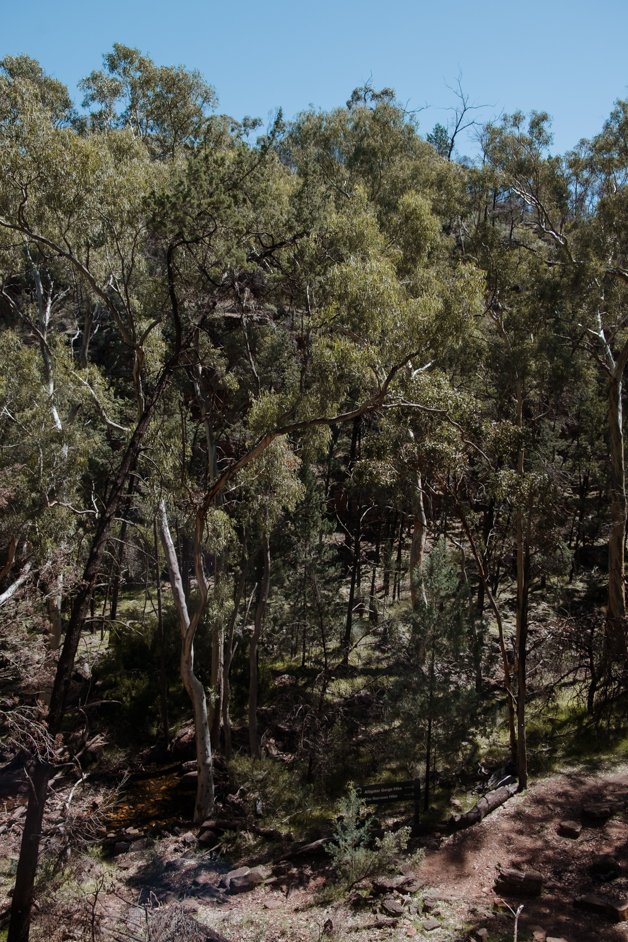 jana meerman alligator gorge mount remarkable australia-05