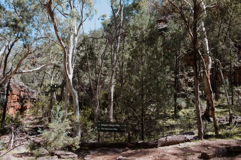 jana meerman alligator gorge mount remarkable australia-05