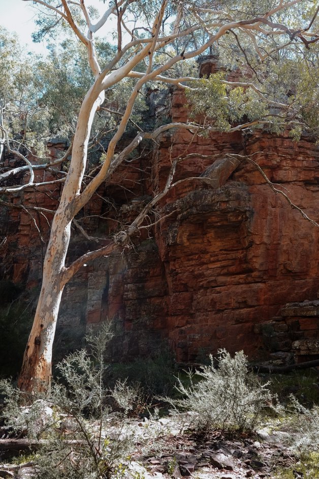jana meerman alligator gorge mount remarkable australia-05