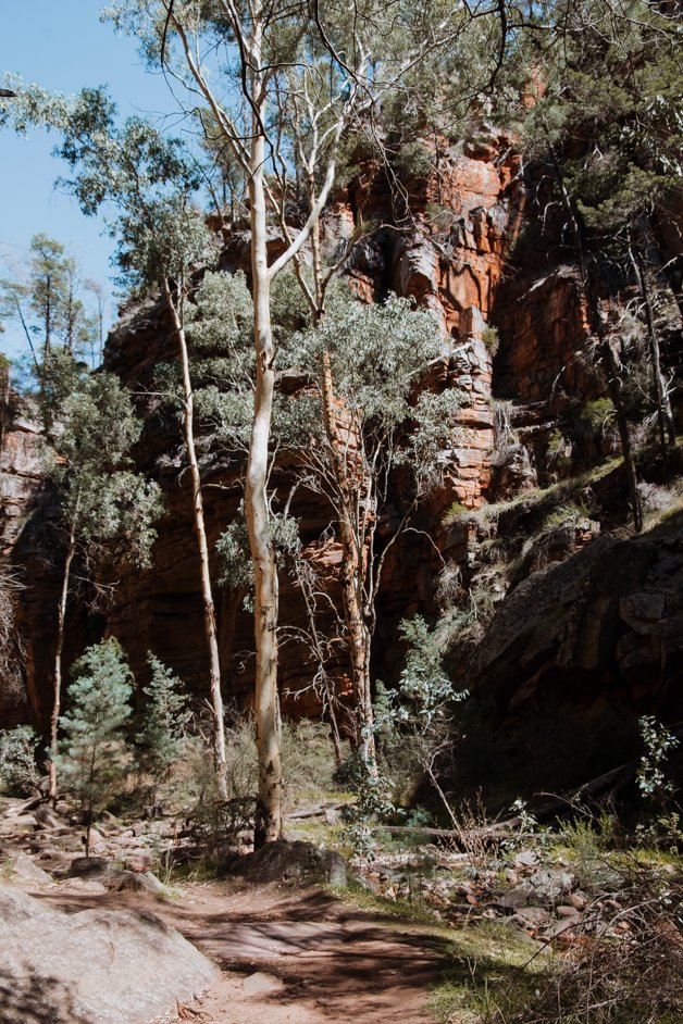 jana meerman alligator gorge mount remarkable australia-05