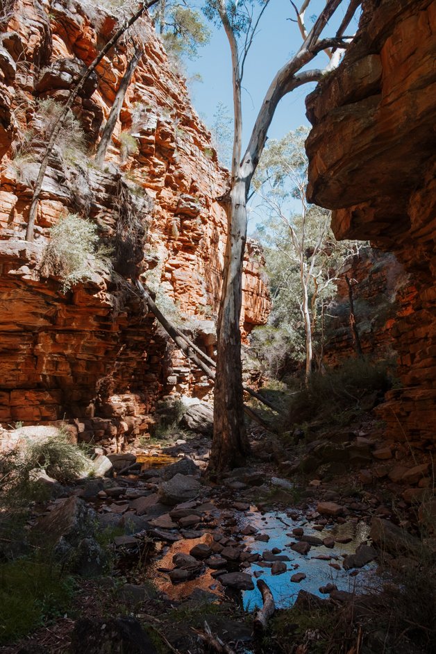 jana meerman alligator gorge mount remarkable australia-05