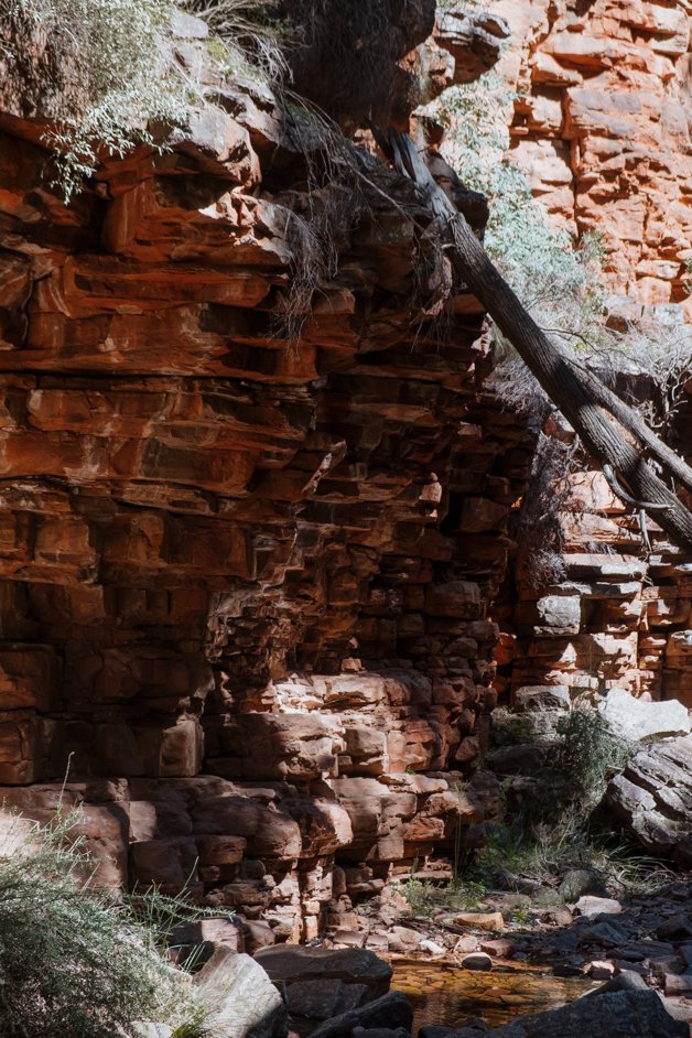 jana meerman alligator gorge mount remarkable australia-05