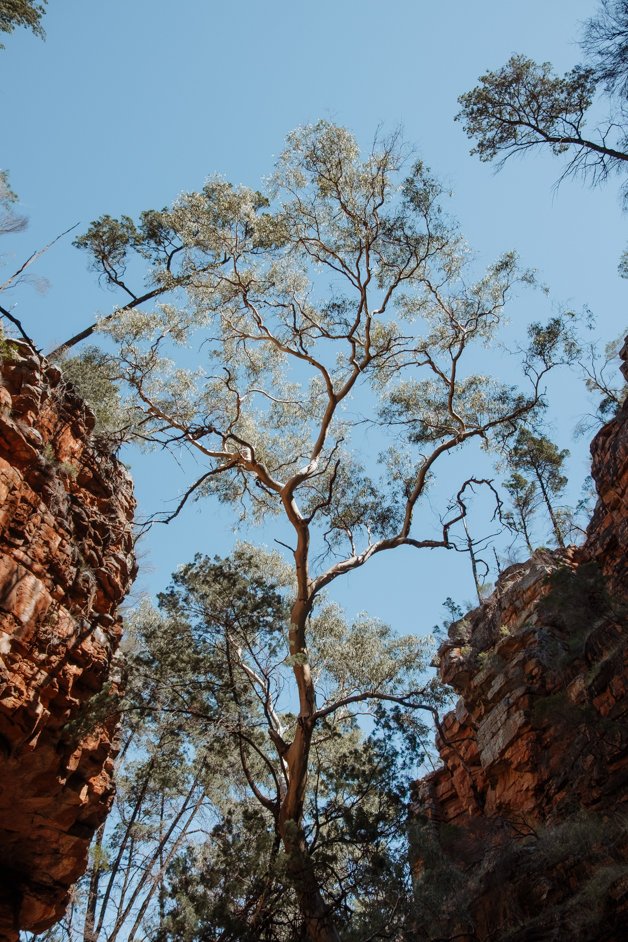 jana meerman alligator gorge mount remarkable australia-05