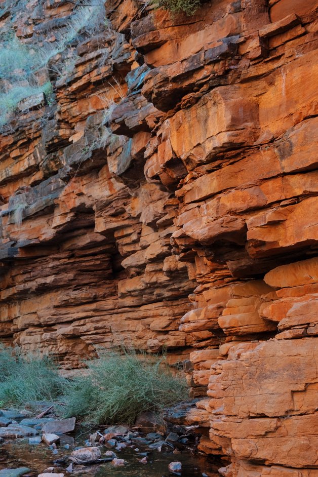 jana meerman alligator gorge mount remarkable australia-05