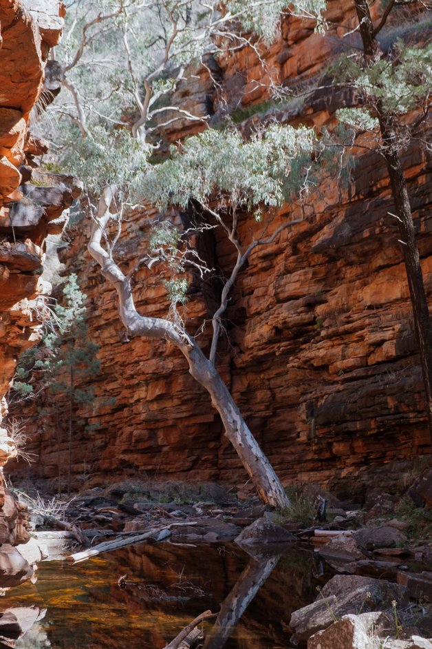 jana meerman alligator gorge mount remarkable australia-05