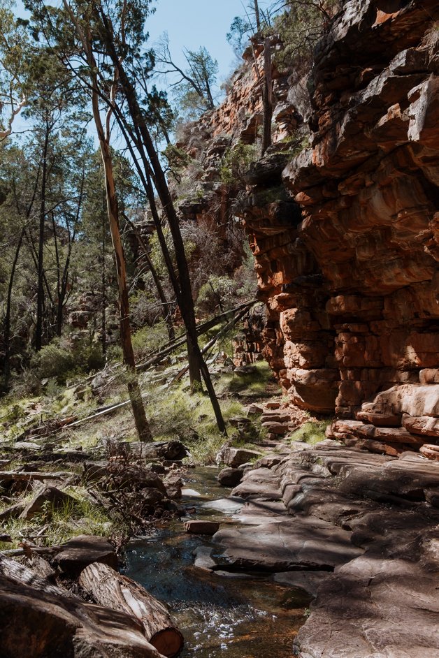 jana meerman alligator gorge mount remarkable australia-05