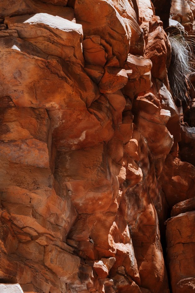 jana meerman alligator gorge mount remarkable australia-05