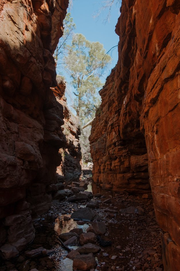 jana meerman alligator gorge mount remarkable australia-05