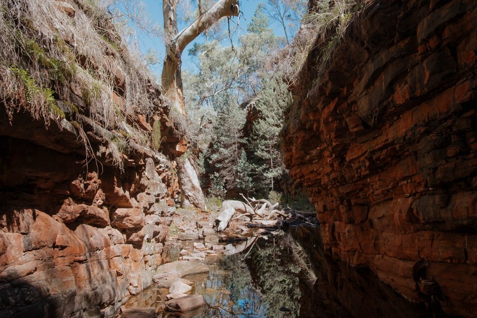 jana meerman alligator gorge mount remarkable australia-05