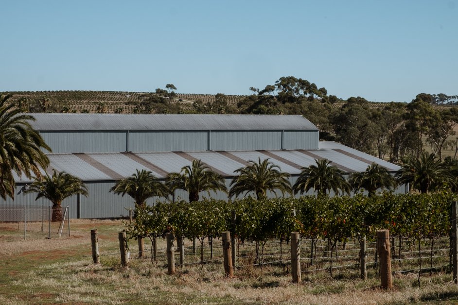 jana meerman barossa valley adelaide australia-07