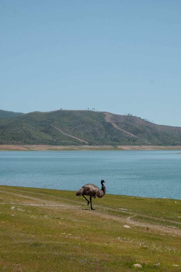 jana meerman blowering reservoir tumut australia-6