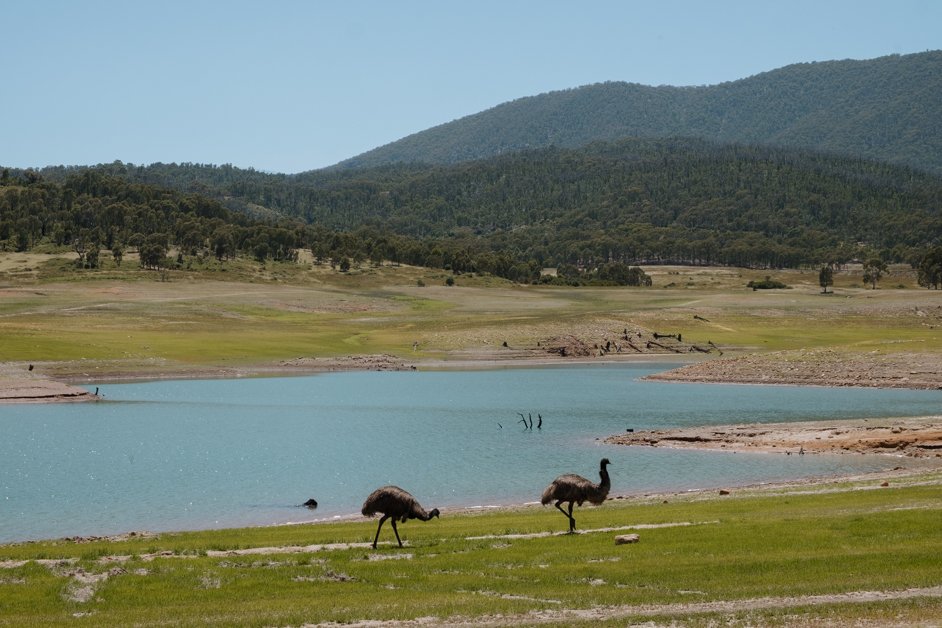 Driving the Snowy Mountains Highway in Australia