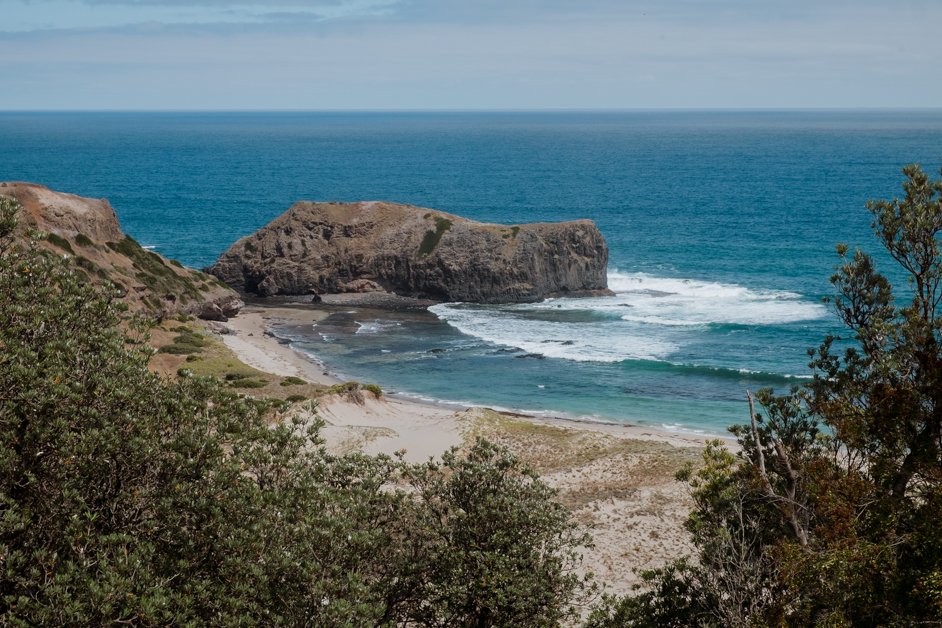 jana meerman bushrangers bay mornington peninsula australia-1