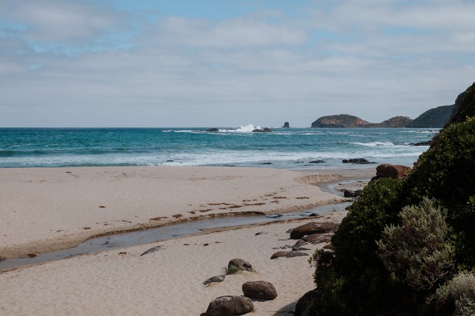 jana meerman bushrangers bay mornington peninsula australia-1
