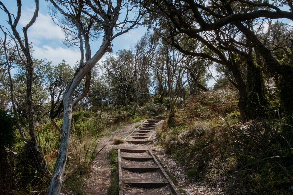 jana meerman bushrangers bay mornington peninsula australia-1