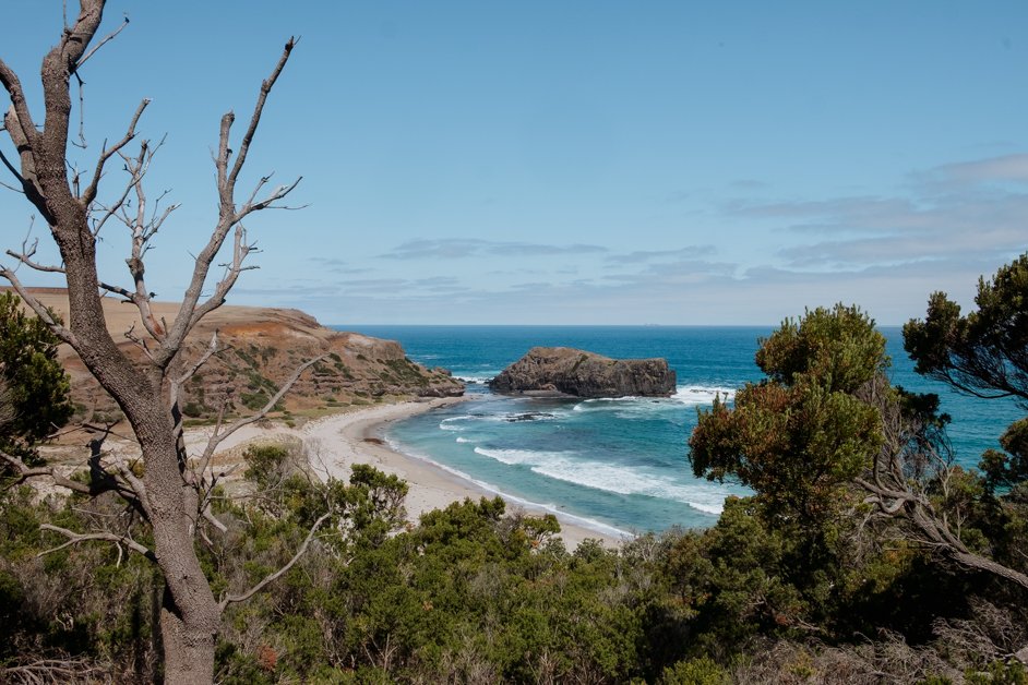 jana meerman bushrangers bay mornington peninsula australia-1