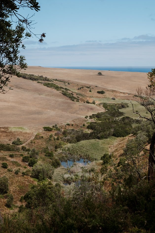 jana meerman bushrangers bay mornington peninsula australia-1