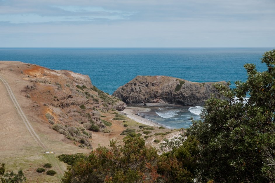 jana meerman bushrangers bay mornington peninsula australia-1