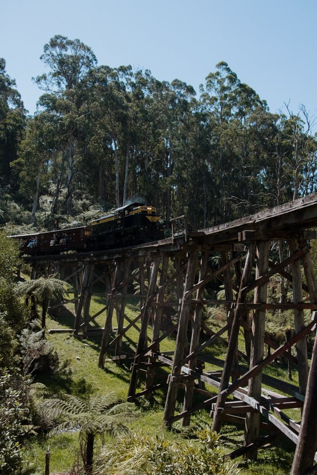 jana meerman dandenong ranges australia-1