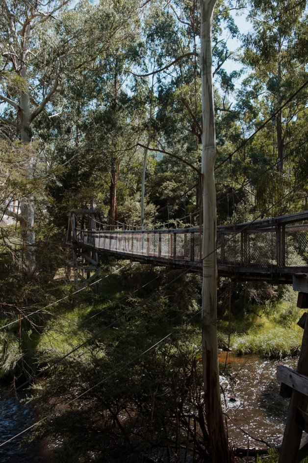jana meerman dandenong ranges australia-17