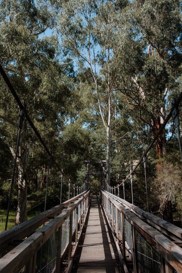 jana meerman dandenong ranges australia-17