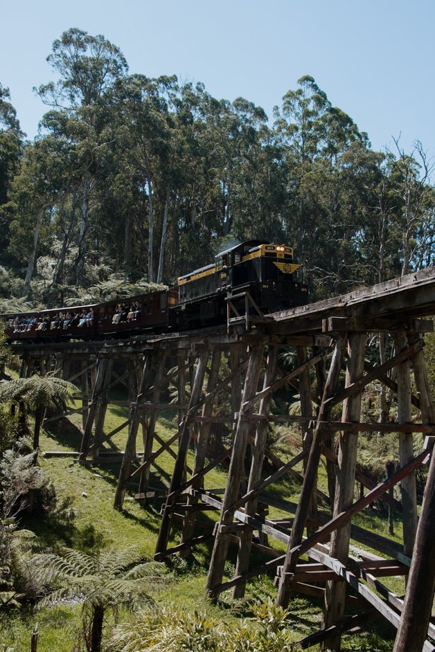 jana meerman dandenong ranges australia-1