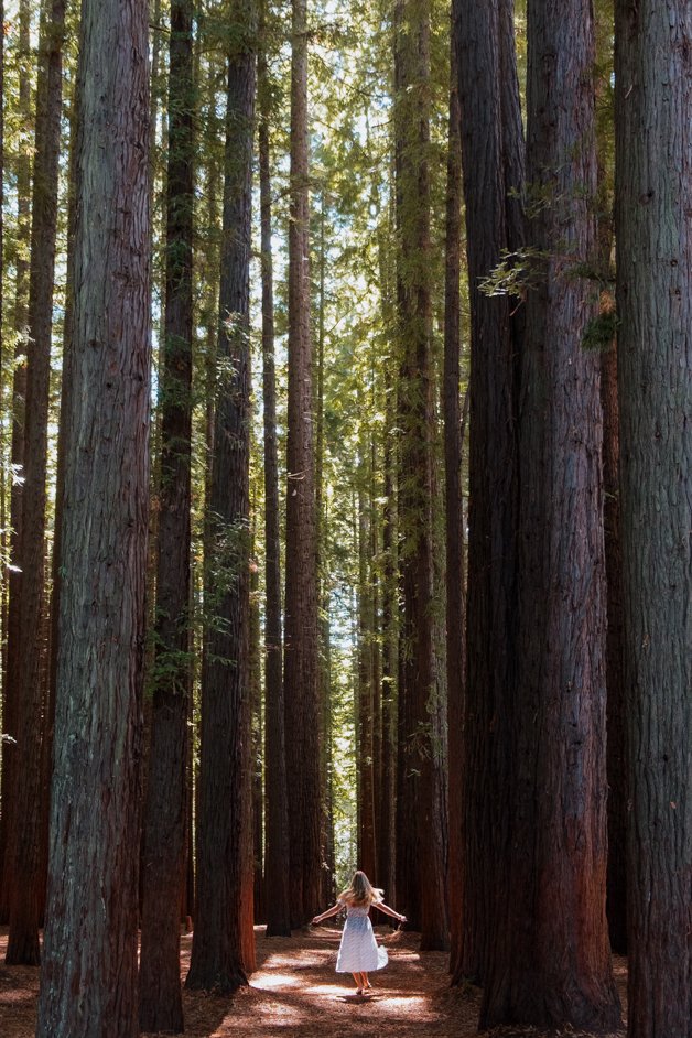 jana meerman dandenong ranges australia-25