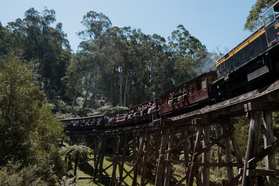 A Guide to the Dandenong Ranges, Australia