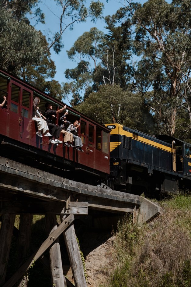 jana meerman dandenong ranges australia-1