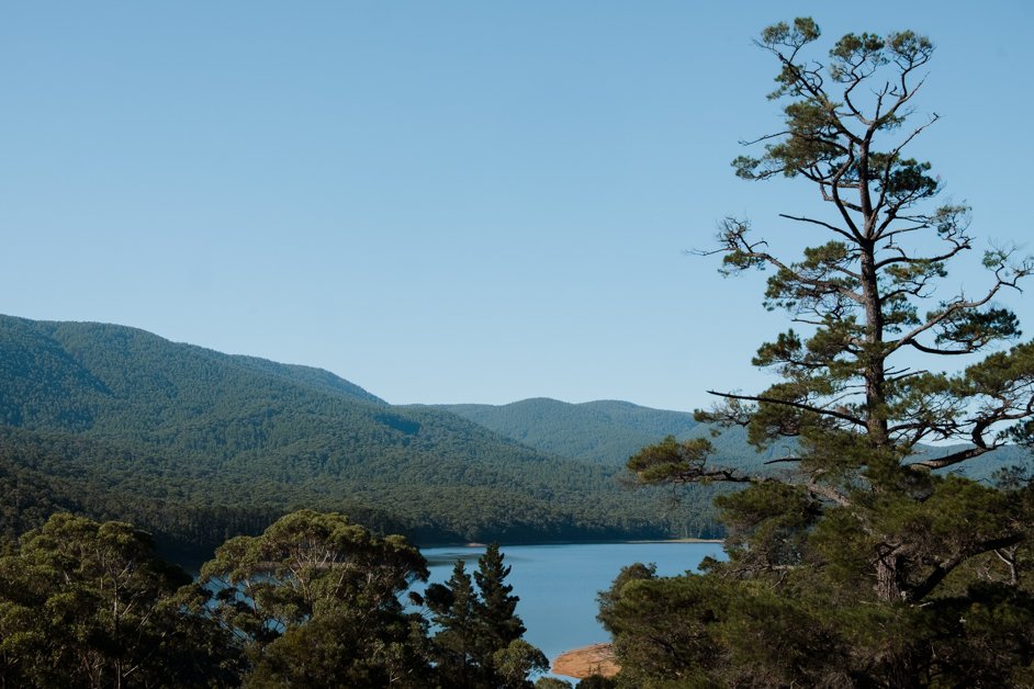 jana meerman dandenong ranges australia-46