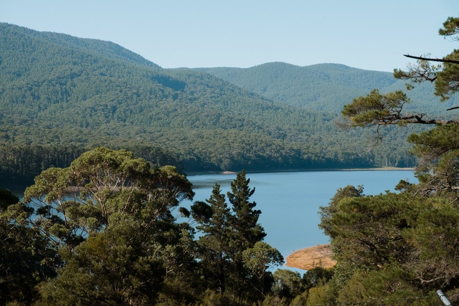 jana meerman dandenong ranges australia-46