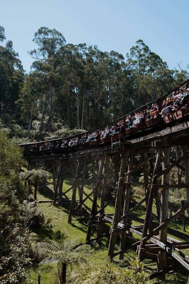 jana meerman dandenong ranges australia-1