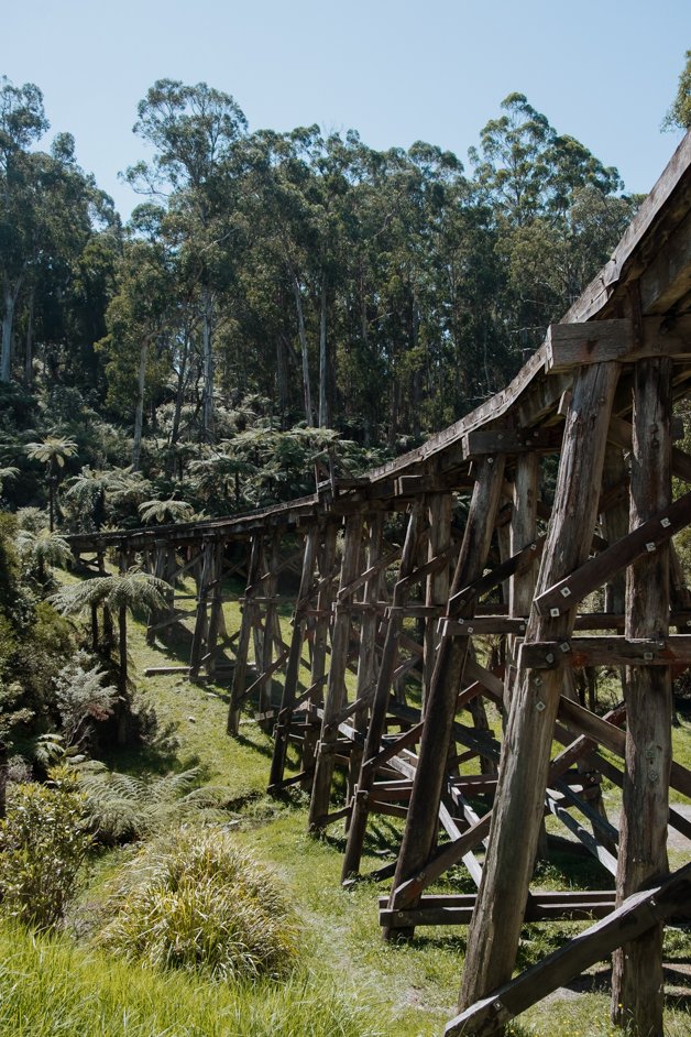 jana meerman dandenong ranges australia-1