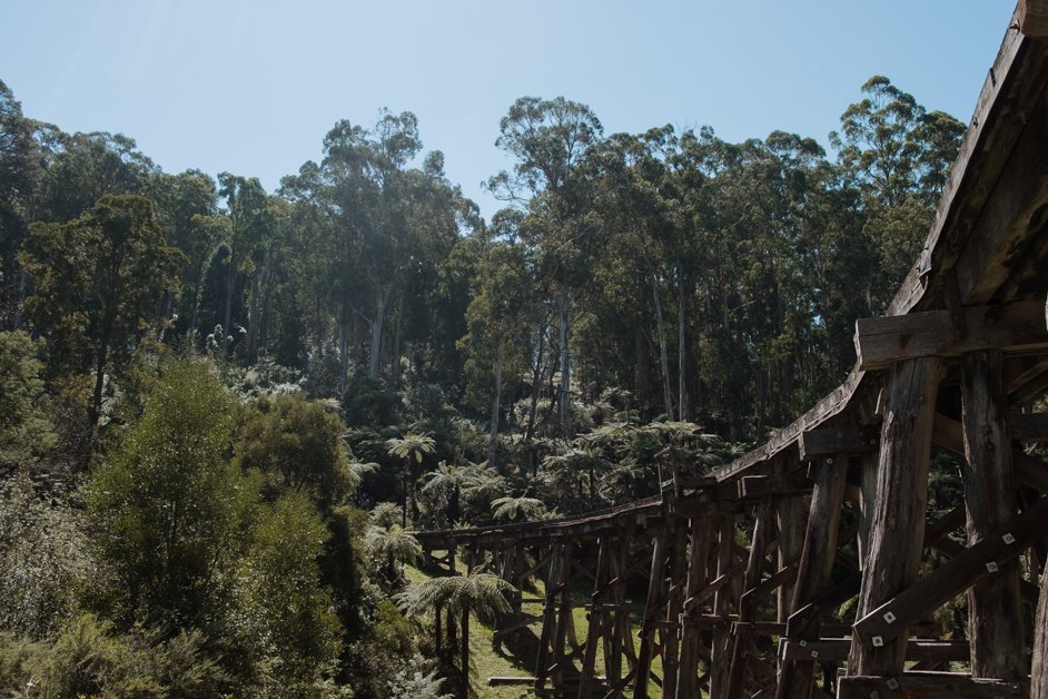 jana meerman dandenong ranges australia-1