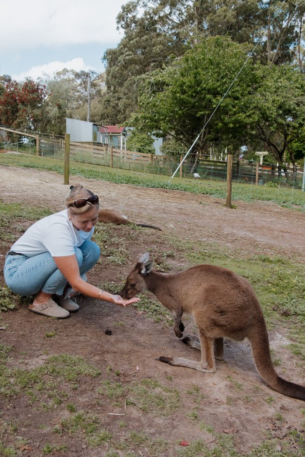 jana meerman denmark animal farm zoo australia-018