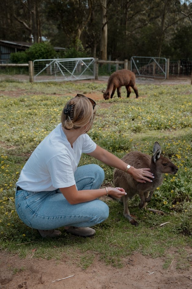 jana meerman denmark animal farm zoo australia-018