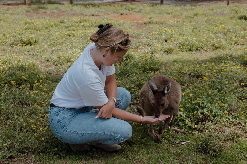 jana meerman denmark animal farm zoo australia-018