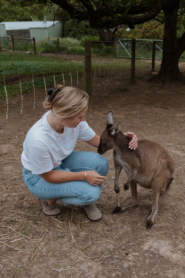 jana meerman denmark animal farm zoo australia-018