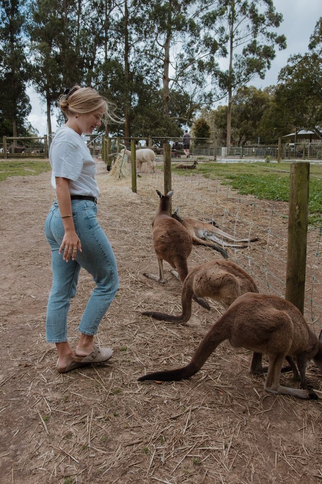 jana meerman denmark animal farm zoo australia-018