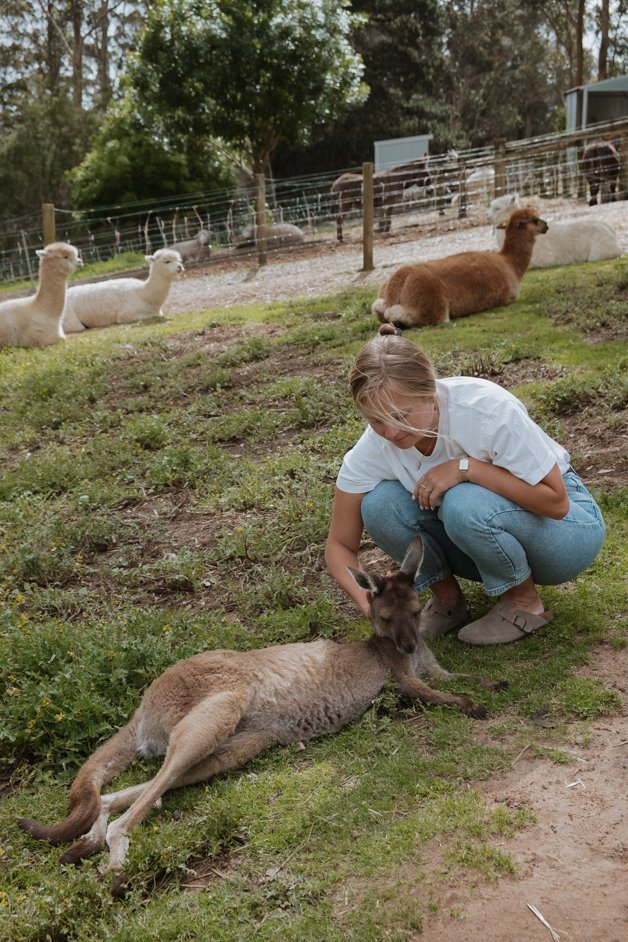 jana meerman denmark animal farm zoo australia-018