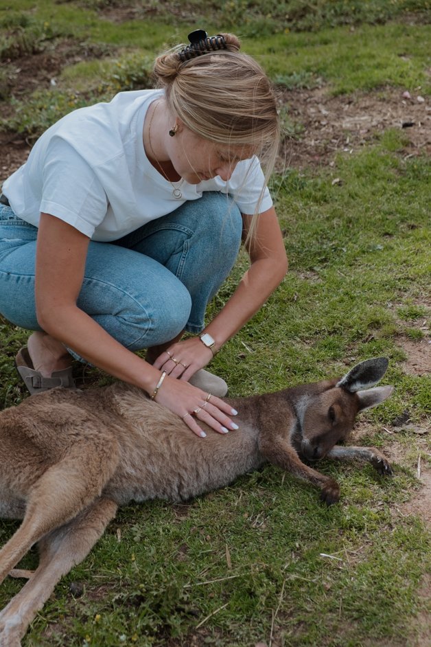jana meerman denmark animal farm zoo australia-018