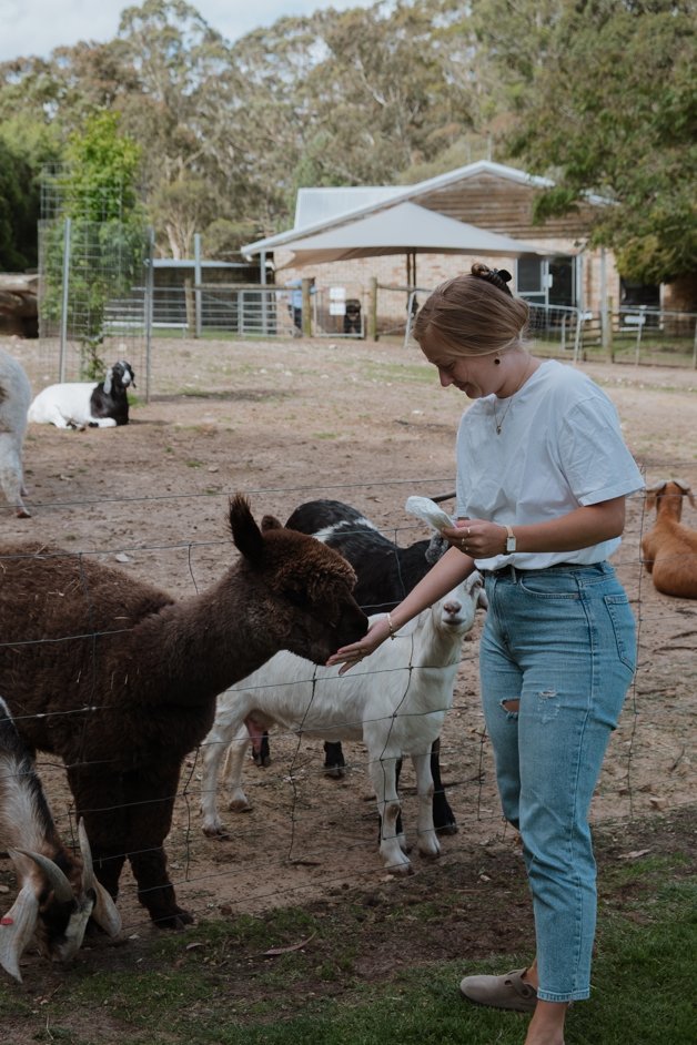 jana meerman denmark animal farm zoo australia-018